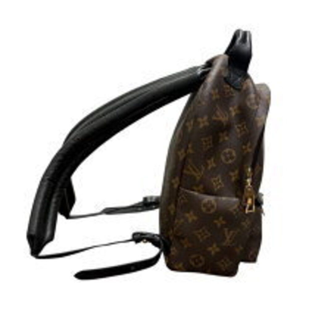 Louis Vuitton Palm Springs Backpack Monogram Daypack - Picture 4 of 9